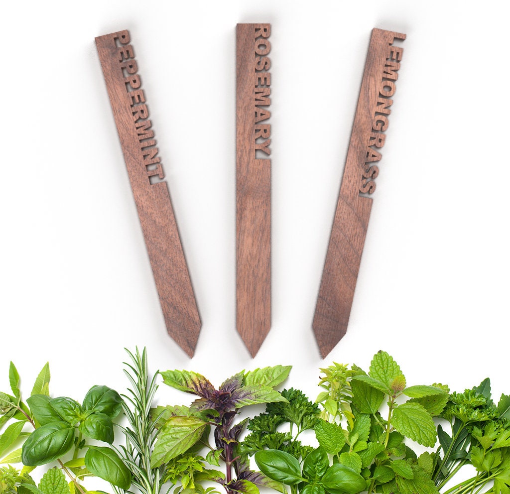 Plant Stakes | Plant Lovers Gift | Vegetable Garden Labels | Gardening Gift | Herb Labels | Flower Labels | Garden Tags | Vegetable Stakes