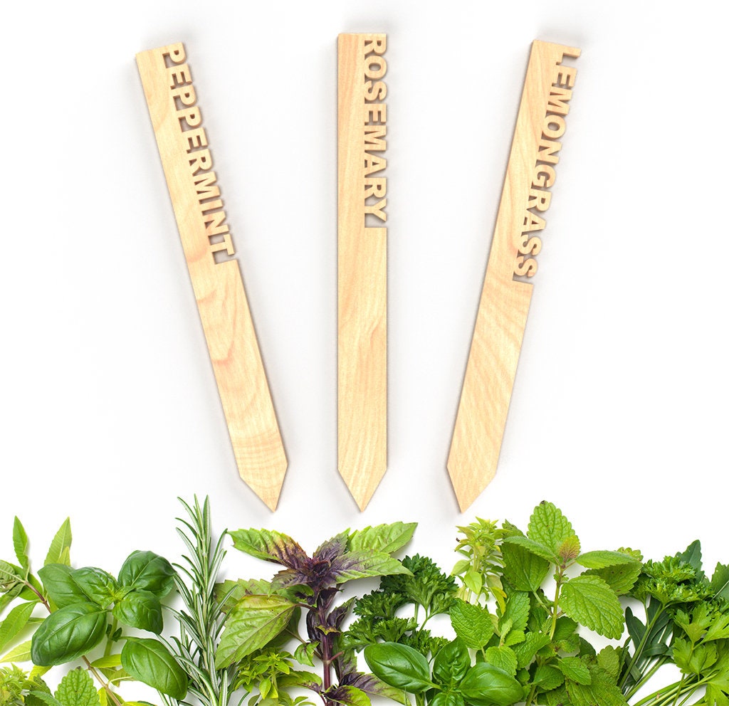 Plant Stakes | Plant Lovers Gift | Vegetable Garden Labels | Gardening Gift | Herb Labels | Flower Labels | Garden Tags | Vegetable Stakes