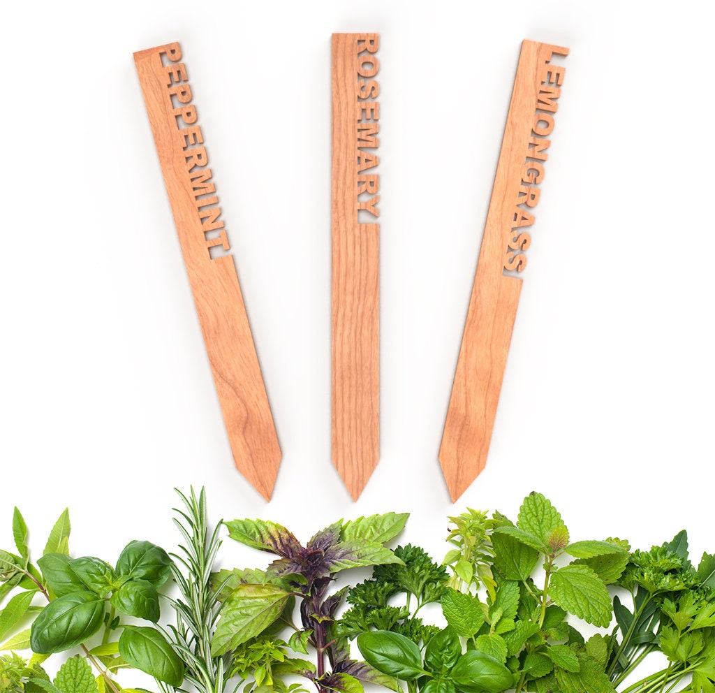 Plant Stakes | Plant Lovers Gift | Vegetable Garden Labels | Gardening Gift | Herb Labels | Flower Labels | Garden Tags | Vegetable Stakes